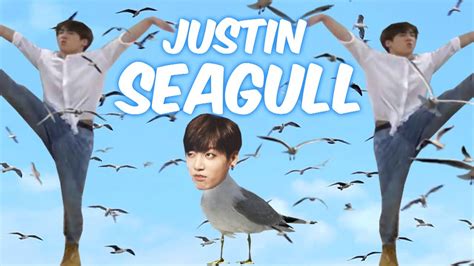 justin seagull|jungkook seagull meaning.